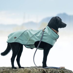 Softshell-Jacke Milan, atmungsaktiv, wind- und wasserabweisend, Zweiwege-Reißverschluß, Klettverschluss, Kopföffnung (Winter Lake, Magnolia Blossom)